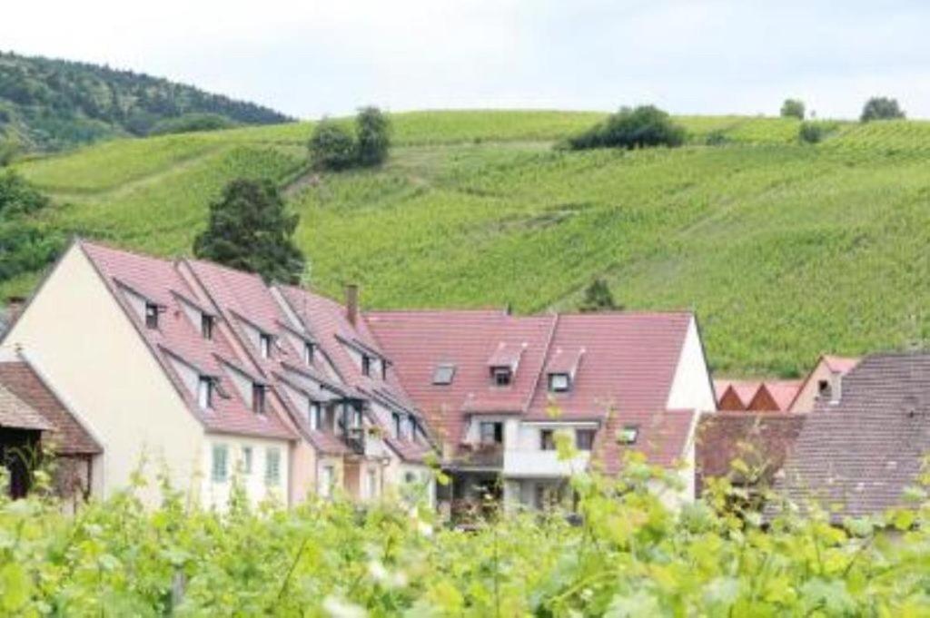 Vue Sur Vignes Apartment Riquewihr Exterior photo